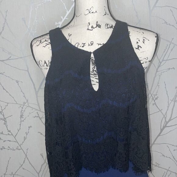 Charles Henry dress with lace popover, SZ Medium - Picture 2 of 8